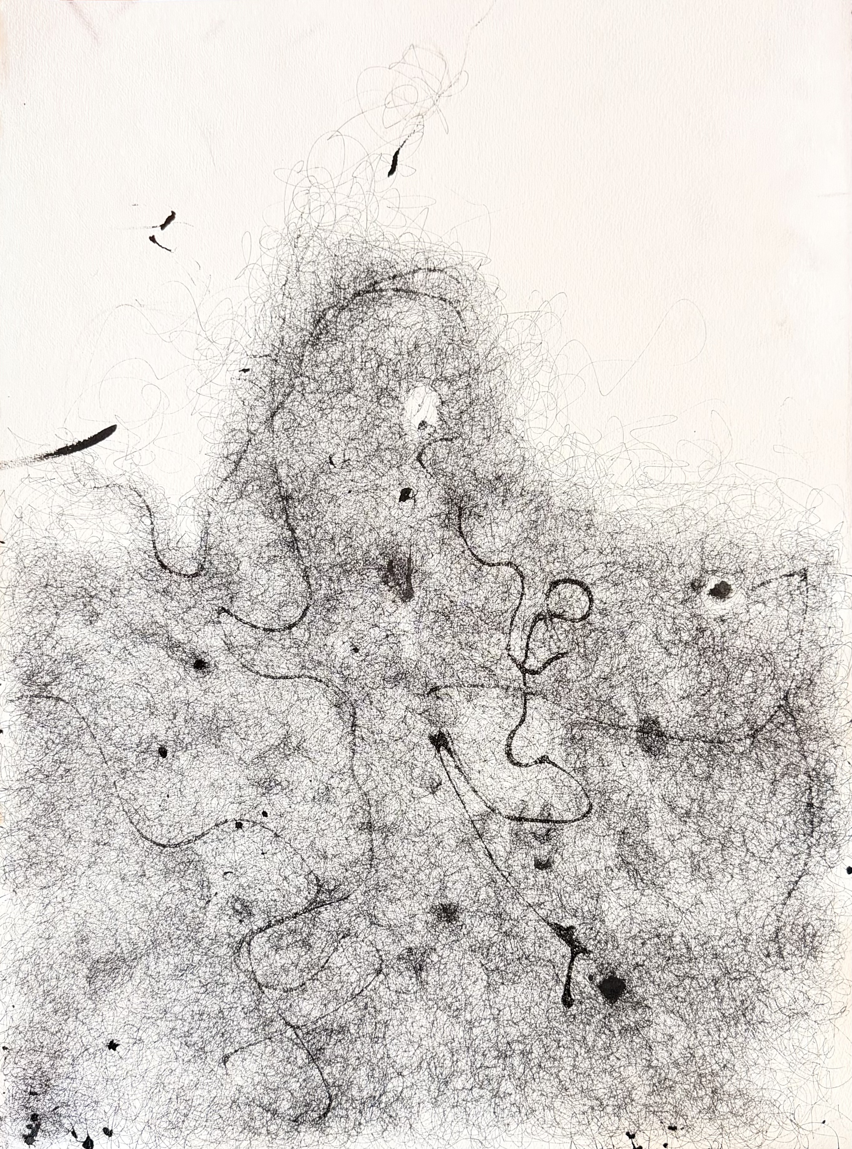 mouche volantes | 40 x 30 cm | 1000,00 €