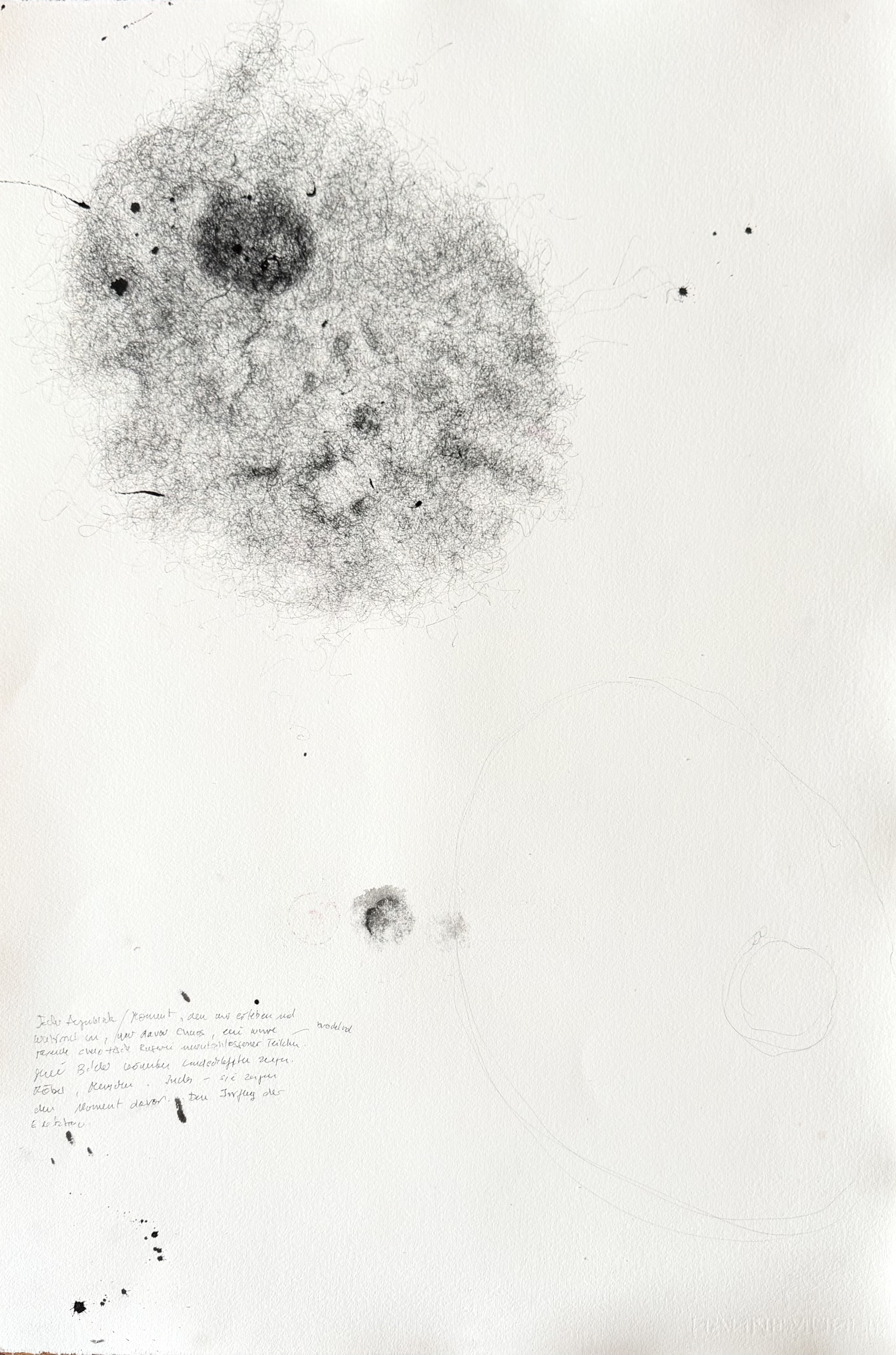 cell | 78 x 53 cm | 1500,00 €